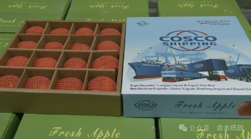 1764662278862255.png 图片2.png